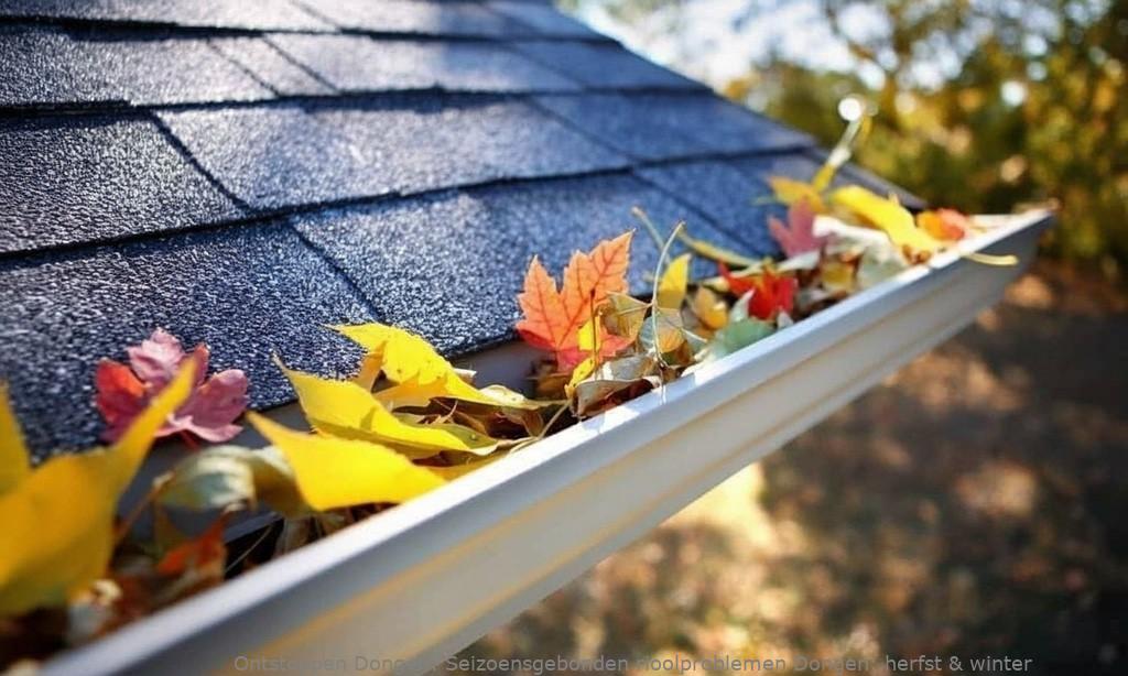 Seizoensgebonden rioolproblemen Dongen: herfst & winter